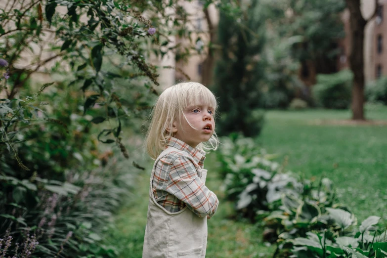 a little girl standing on top of a lush green field, an album cover, inspired by Elsa Beskow, pexels contest winner, small blond goatee, thoughtful ), standing in a botanical garden, low iso