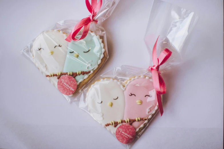 a couple of heart shaped cookies sitting on top of a table, packaging, owls, large pastel, medium