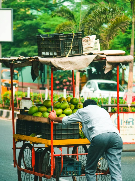 a man pushing a cart of fruit down the street, by Ingrida Kadaka, pexels contest winner, bangalore, green square, instagram story, greenery