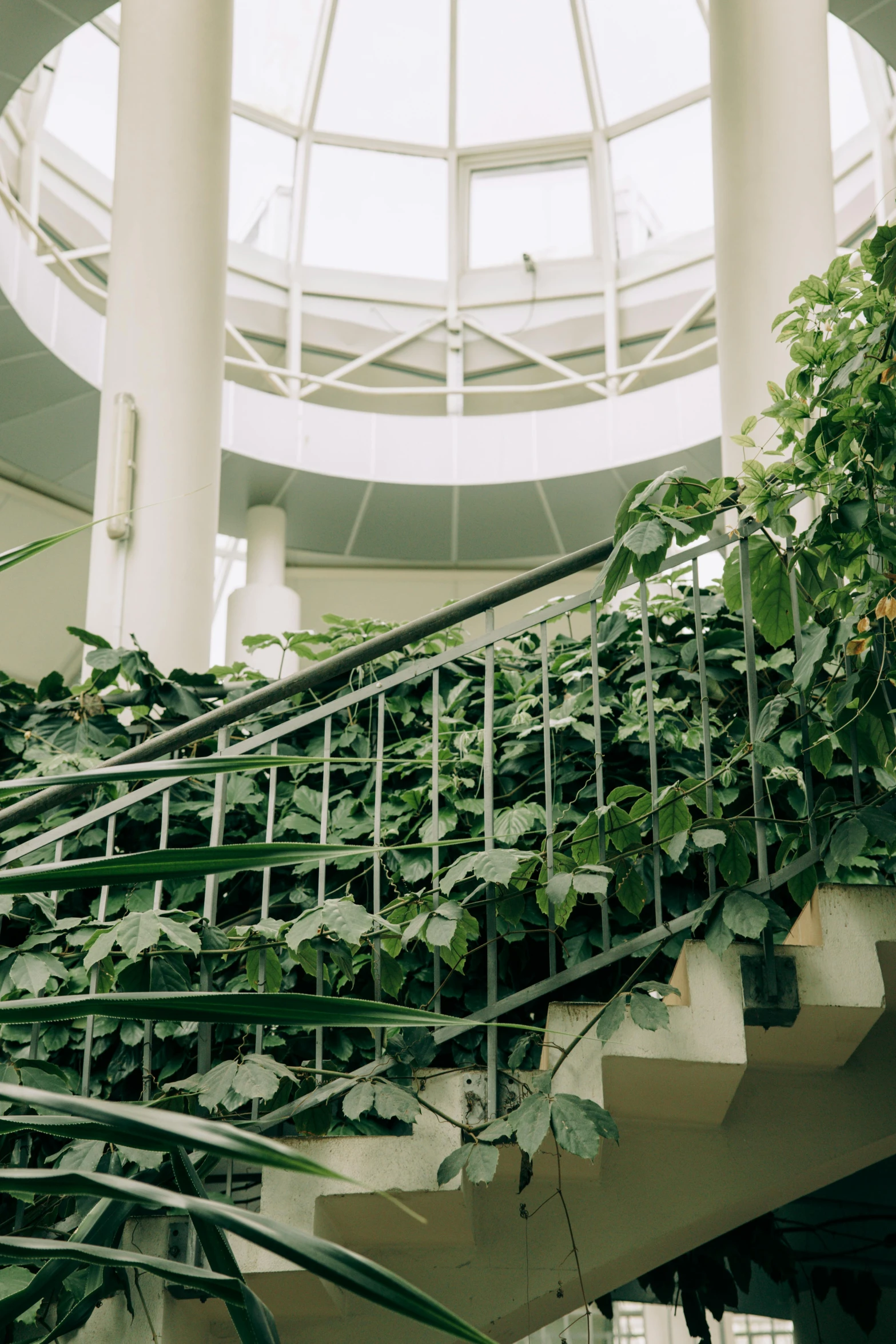 a bunch of plants sitting on top of a set of stairs, unsplash, modernism, research complex, vine covered, taken in the late 2000s, bright daylight indoor photo