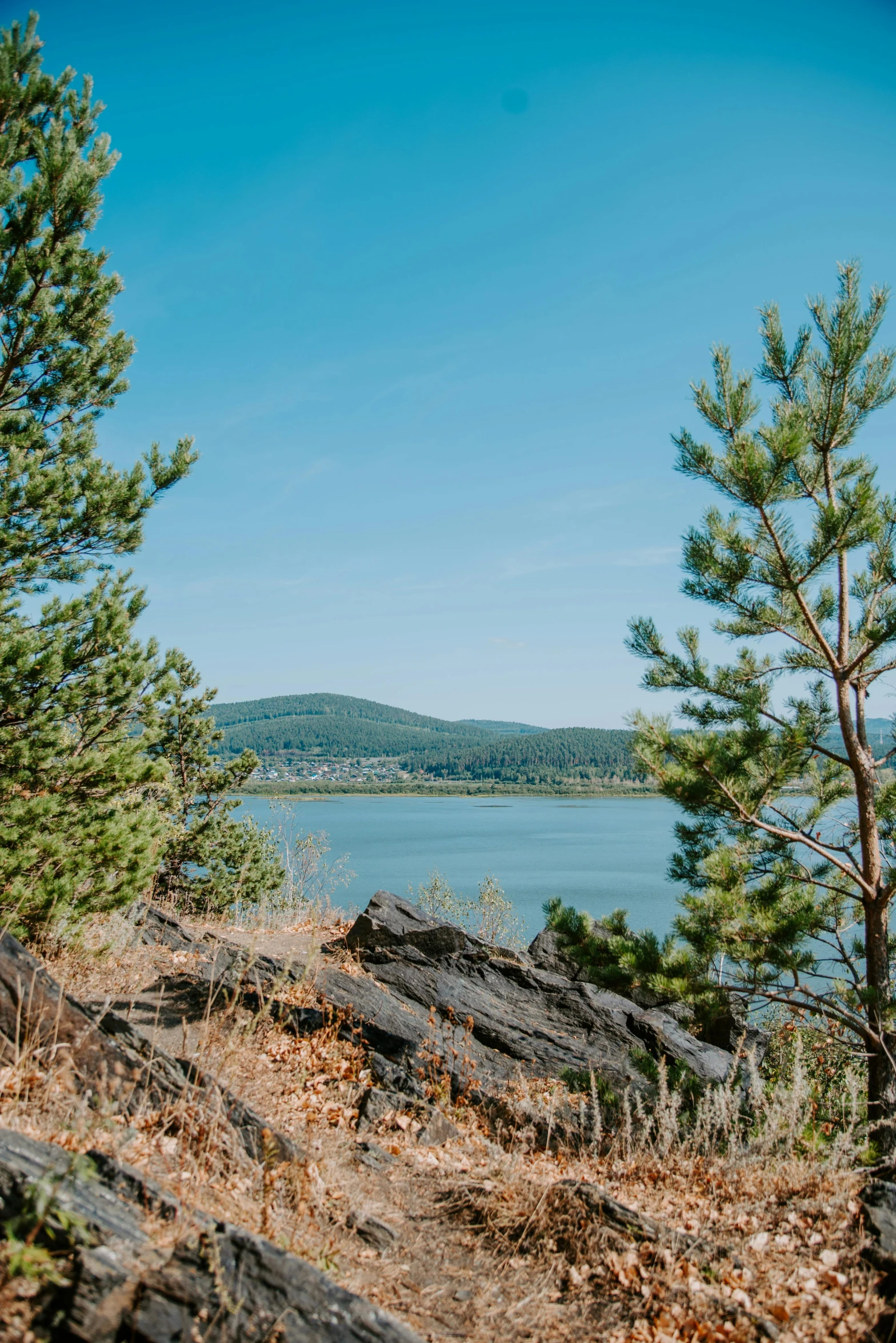 a man riding a motorcycle down a dirt road next to a body of water, a picture, unsplash, land art, evergreen branches, west slav features, panorama distant view, slide show