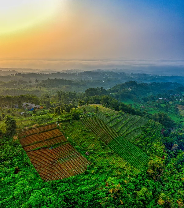 a view from the top of a hill at sunset, by Sebastian Spreng, sumatraism, rows of lush crops, today\'s featured photograph 4k, bird view, a green