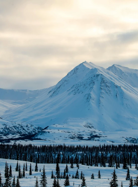 a man riding skis down a snow covered slope, desolate arctic landscape, grand majestic mountains, 2019 trending photo, ultrawide image