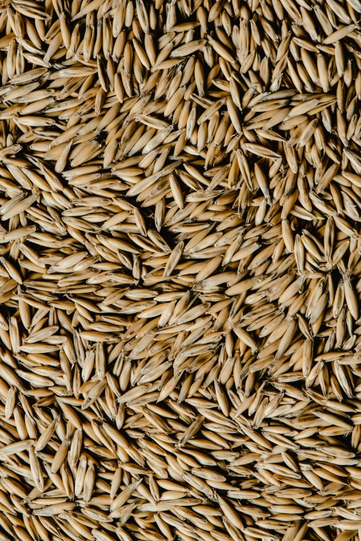 a pile of brown rice sitting on top of a table, by Nina Hamnett, hurufiyya, skin grain detail, thumbnail, larvae, multiple stories