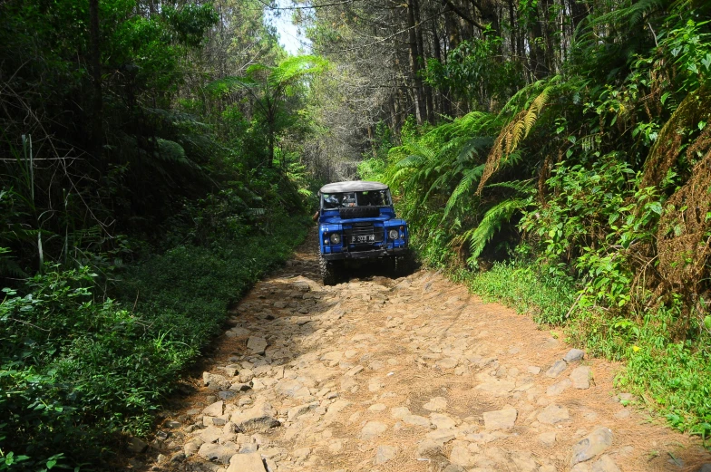 a jeep driving down a dirt road in the woods, hurufiyya, picton blue, walking through a lush jungle, profile image, stone roads