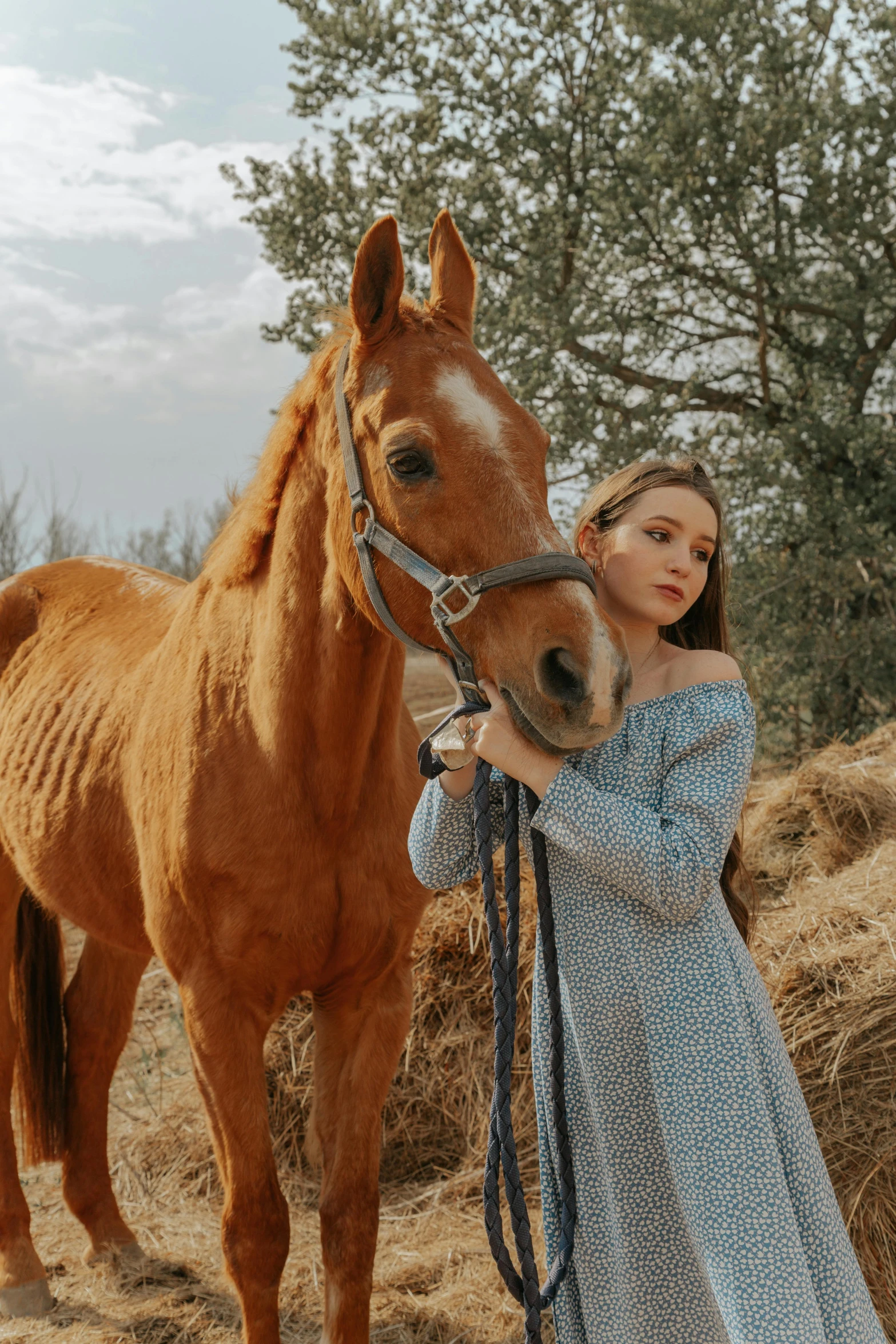 a woman standing next to a horse in a field, pexels contest winner, renaissance, young handsome pale roma, teen girl, 🤠 using a 🖥, sydney sweeney