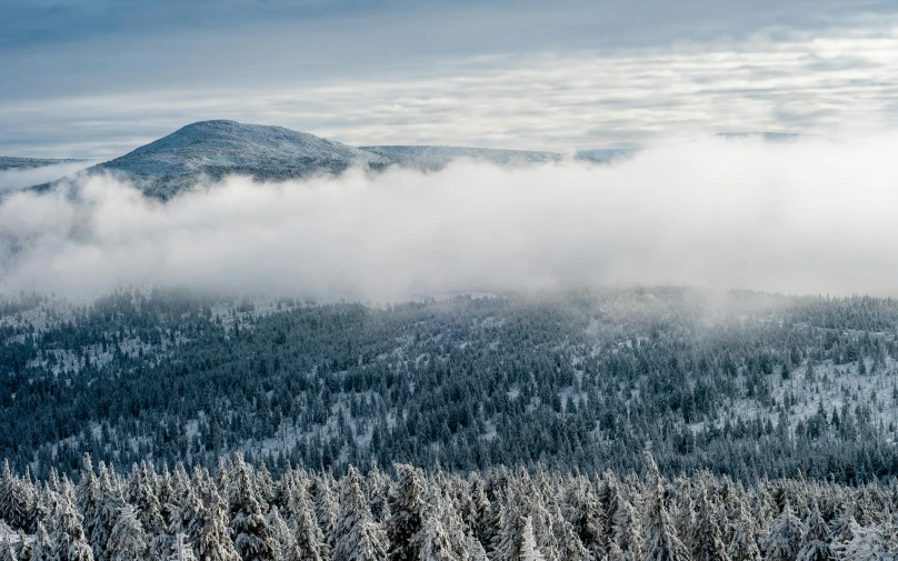 a person riding skis on top of a snow covered slope, foggy forest, terragen, big clouds visible, swedish forest