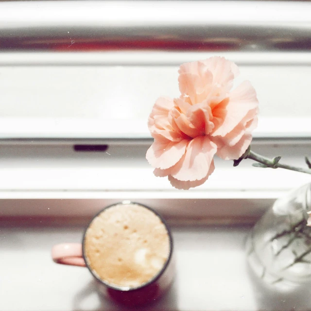 a pink flower sitting next to a cup of coffee, by Lucia Peka, looking out of the window, iced latte, instagram post, slightly tanned