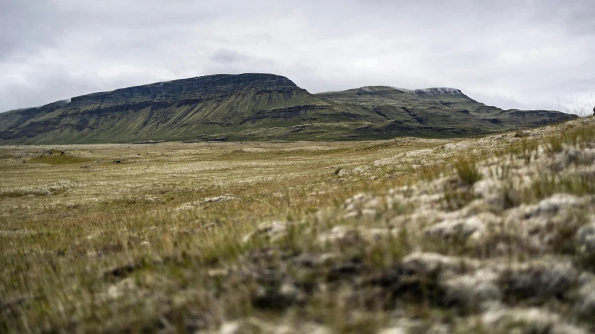 a grassy field with a mountain in the background, by Hallsteinn Sigurðsson, hurufiyya, background image, rock plateau, dessert, multiple stories