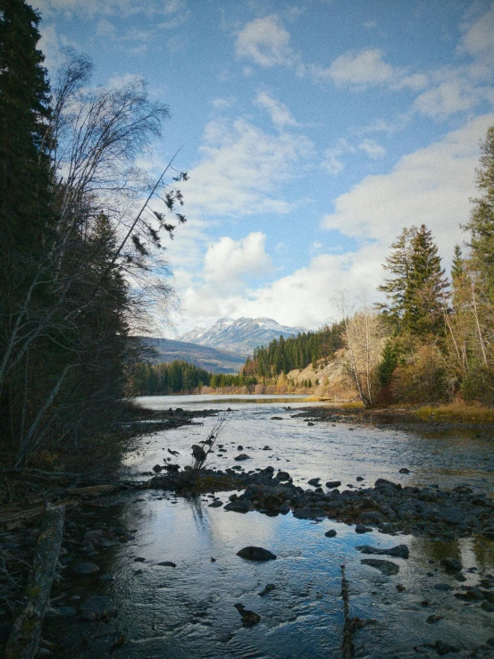 a river running through a forest filled with trees, with mountains in the distance, big sky, slide show, 4k image