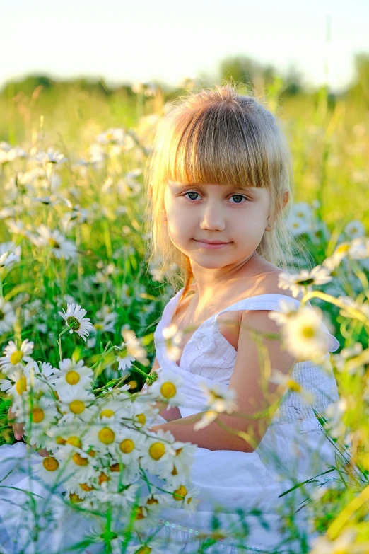 a little girl sitting in a field of flowers, a picture, soft light - n 9, ekaterina, brilliant, educational