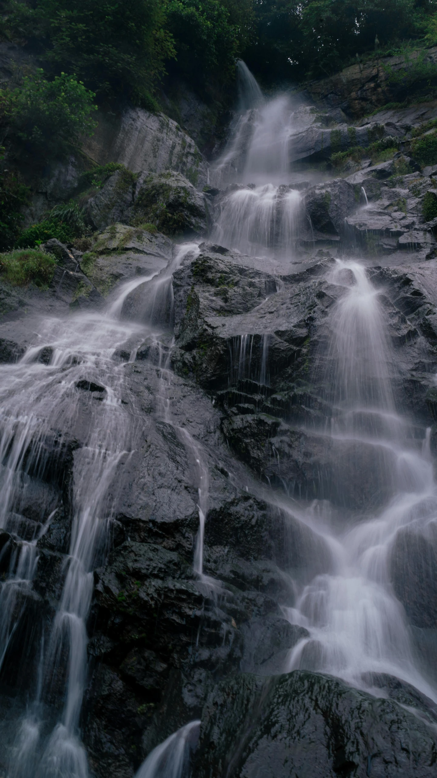 a waterfall in the middle of a forest, an album cover, unsplash contest winner, with lots of dark grey rocks, new zealand, rinko kawauchi, medium format. soft light