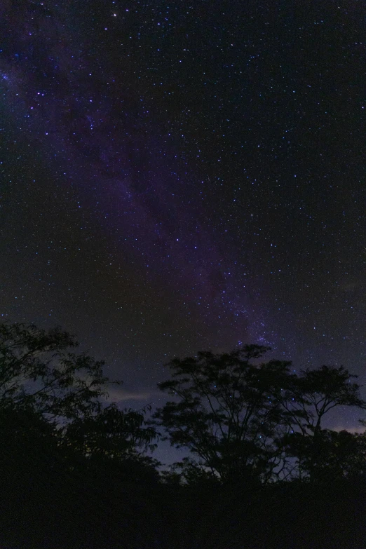 a night sky filled with lots of stars, a portrait, flickr, long violet and green trees, big island, 4k), afar