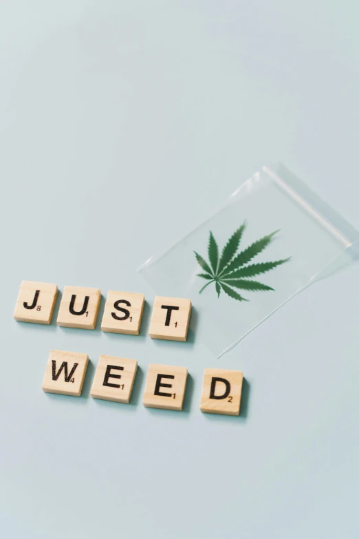 a cell phone with the words just weed written on it, by Julia Pishtar, aestheticism, product display photograph, kubrik, jets, hemp