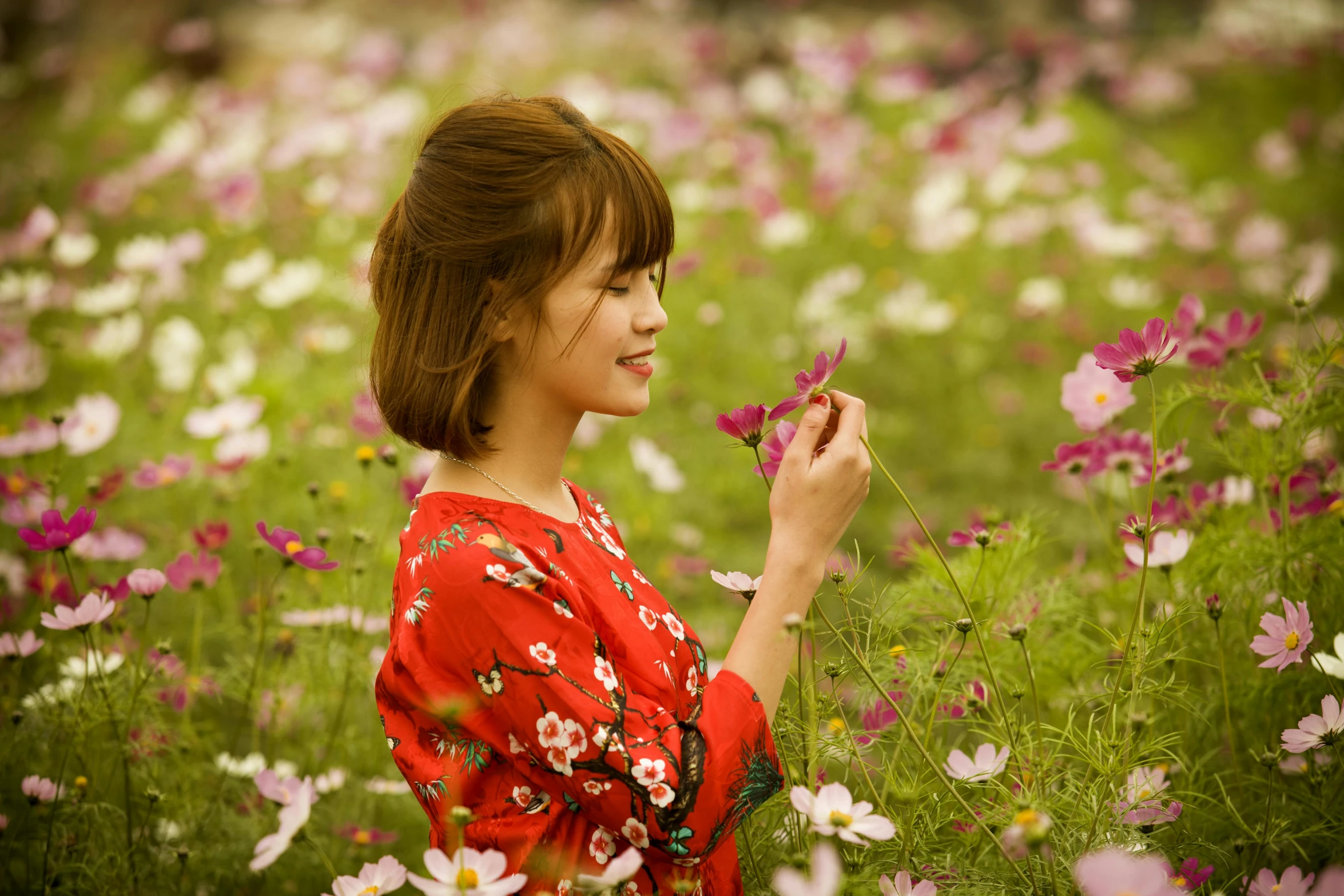 a woman standing in a field of flowers, inspired by Cui Bai, pexels contest winner, shin hanga, avatar image, cute korean actress, miniature cosmos, red and white flowers