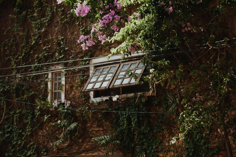 a window that is on the side of a building, by Emma Andijewska, pexels contest winner, renaissance, floral jungle treehouse, awnings, wrapped in flowers and wired, brown