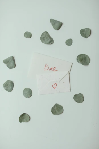 a piece of paper sitting on top of a pile of leaves, hearts, minimalist photo, blake stone, - signature