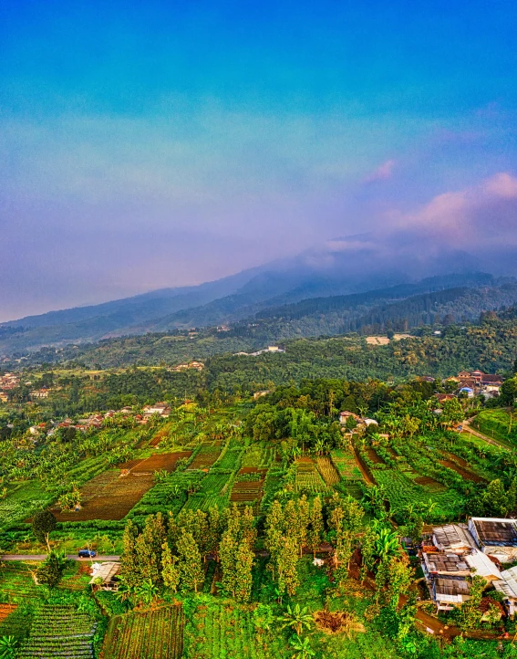 an aerial view of a farm with a mountain in the background, by Basuki Abdullah, background image, multiple stories, hdr on, view(full body + zoomed out)