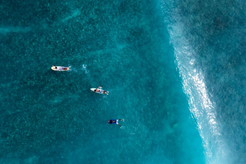 a group of people riding surfboards on top of a body of water, by Emma Andijewska, pexels contest winner, minimalism, coral reefs, sapphire waters below, rule of three, air shot