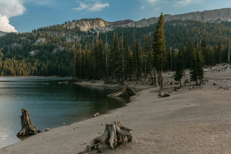 a large body of water surrounded by trees, unsplash contest winner, mountain lake in sierra nevada, destroyed forest, campsites, gravel and scree ground