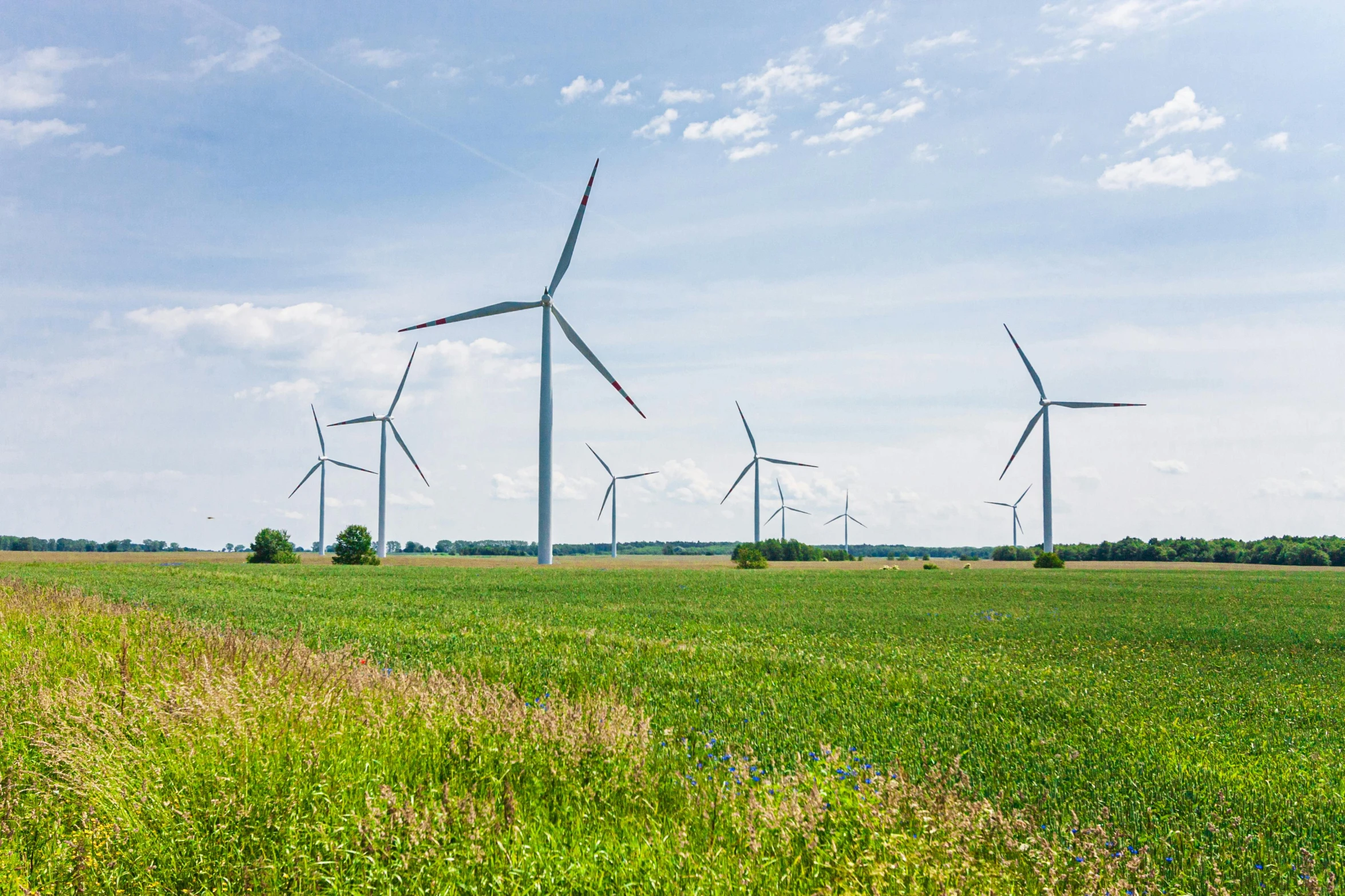 a field of green grass with windmills in the background, by Matthias Stom, pexels contest winner, fan favorite, panorama, high quality product image”