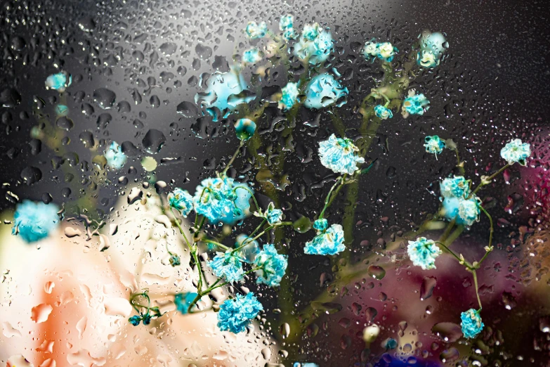 a bunch of flowers sitting on top of a rain covered window, an album cover, inspired by Elsa Bleda, unsplash, art photography, wet shiny skin, blue colored, björk, on a black background