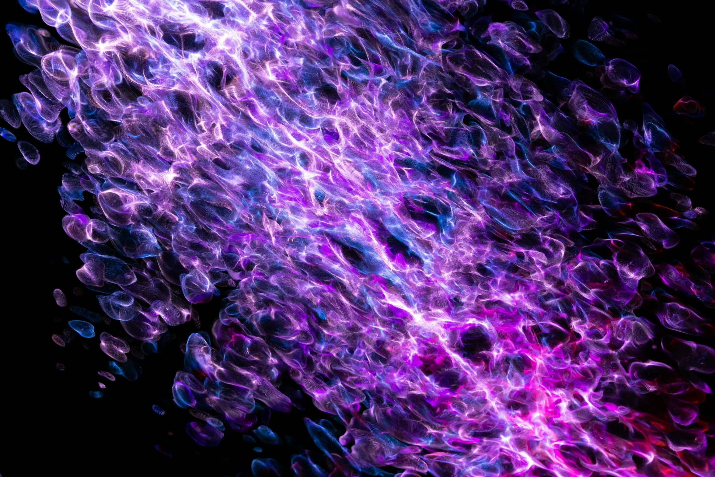 a close up of a cell phone on a black background, a microscopic photo, by Jan Rustem, generative art, purple fire, 1024x1024, view of the cosmos, wisps