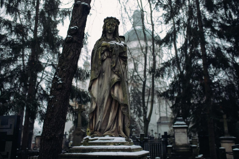 a statue in a cemetery surrounded by trees, by Adam Szentpétery, unsplash contest winner, gothic art, cold, angelina stroganova, in a city with a rich history, saintly