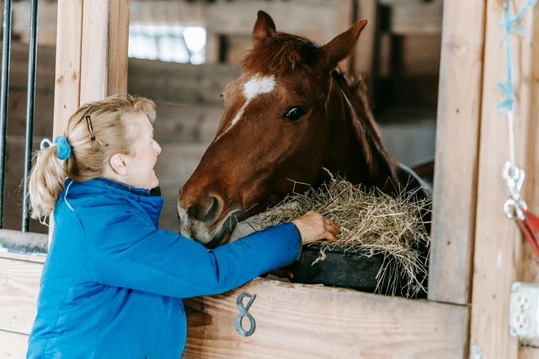 a woman petting a horse in a stable, pexels contest winner, eating, wearing hay coat, 🦩🪐🐞👩🏻🦳, local conspirologist