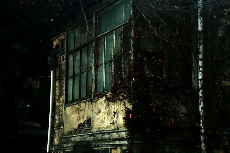 a fire hydrant in front of an old building, an album cover, inspired by Elsa Bleda, australian tonalism, overgrown vines, ignant, dark abandoned cyberpunk factory, museum photo