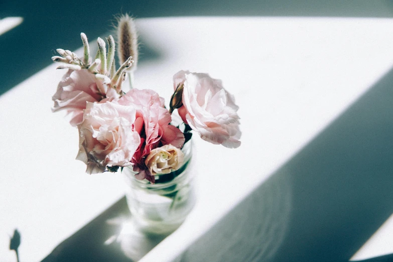 a vase filled with pink flowers sitting on a window sill, trending on unsplash, romanticism, light glare, inside a glass jar, on a pale background, multiple stories