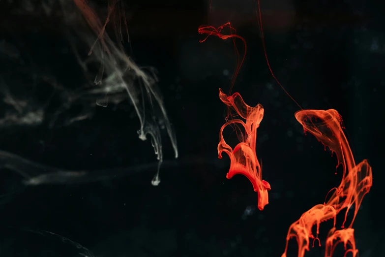 a close up of a red substance on a black surface, pexels contest winner, abstract expressionism, smoking vessels, long orange hair floating on air, water dripping from ceiling, a still of an ethereal