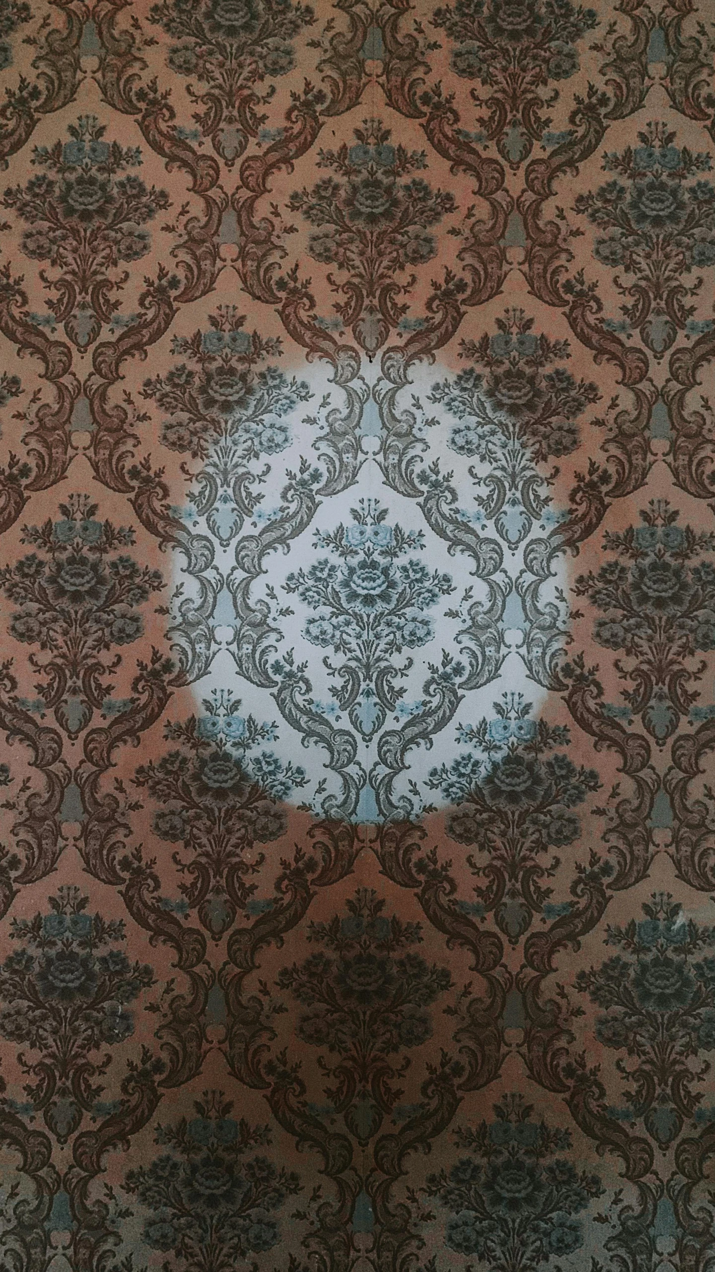 the shadow of a person standing in front of a wallpaper, inspired by Lubin Baugin, rococo, burnt umber and blue, 2 5 6 x 2 5 6, ornamental halo, dye-transfer