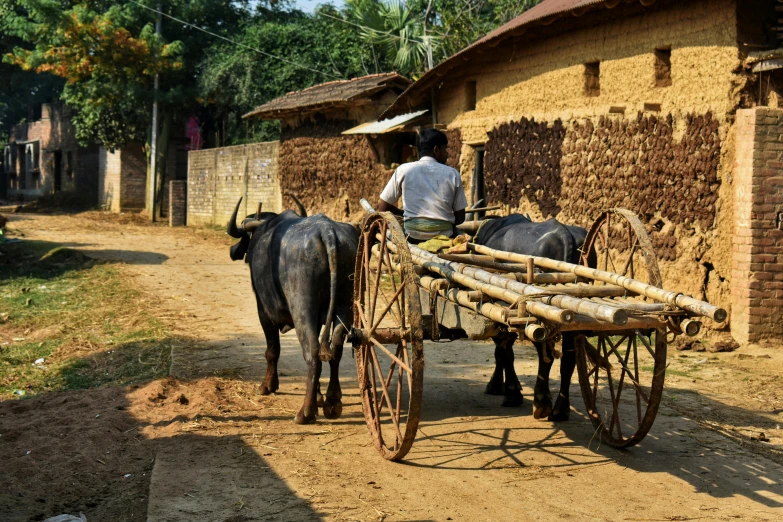 a man riding on the back of a cart pulled by two oxen, pexels contest winner, bengal school of art, bamboo huts, avatar image, village house, thumbnail