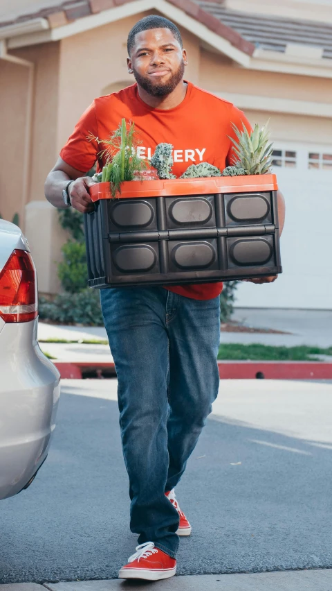 a man walking down the street carrying a box of pineapples, by Robert Medley, happening, grey orange, quick assembly, filled with plants, official product photo