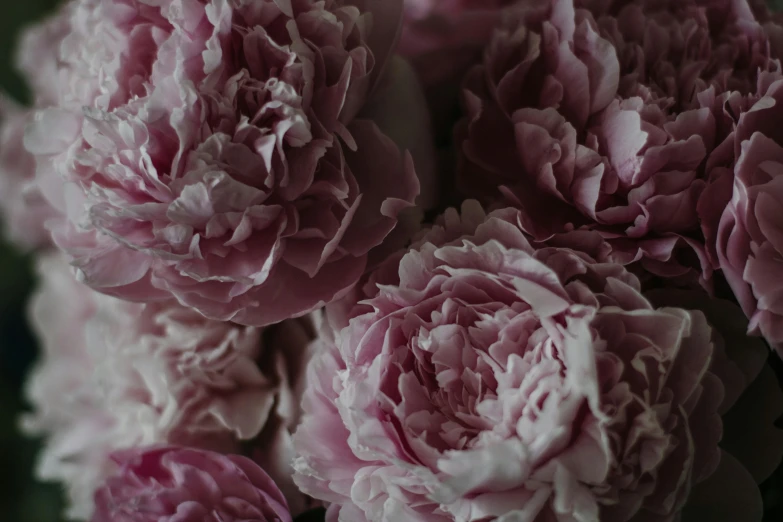 a bunch of pink flowers in a vase, pexels contest winner, highly detailled texture, many peonies, grey, medium close shot