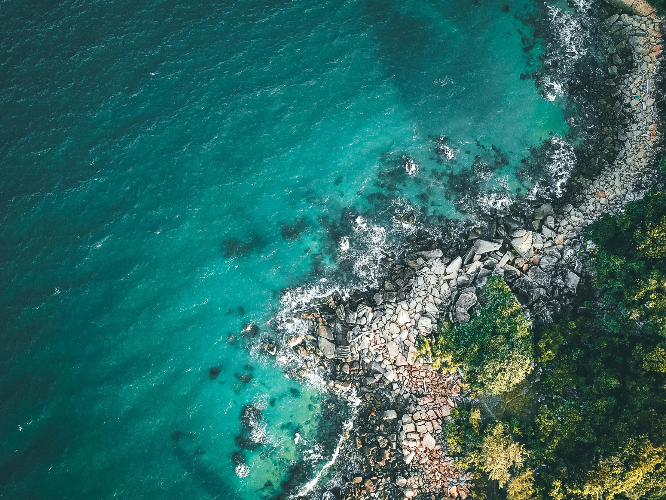 a body of water surrounded by trees and rocks, pexels contest winner, view from above on seascape, cyan and green, multiple stories, manly