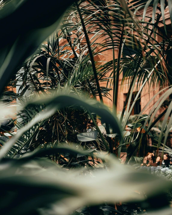 a man riding a skateboard on top of a lush green field, a picture, inspired by Elsa Bleda, unsplash contest winner, sumatraism, with interior potted palm trees, standing in a botanical garden, building cover with plant, as seen from the canopy