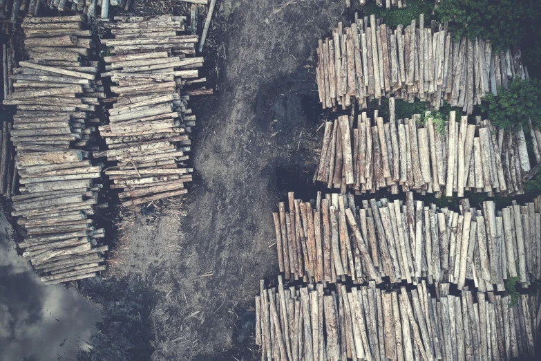 a group of logs stacked on top of each other, pexels contest winner, aerial view cinestill 800t 18mm, complex and desaturated, jungle clearing, knolling