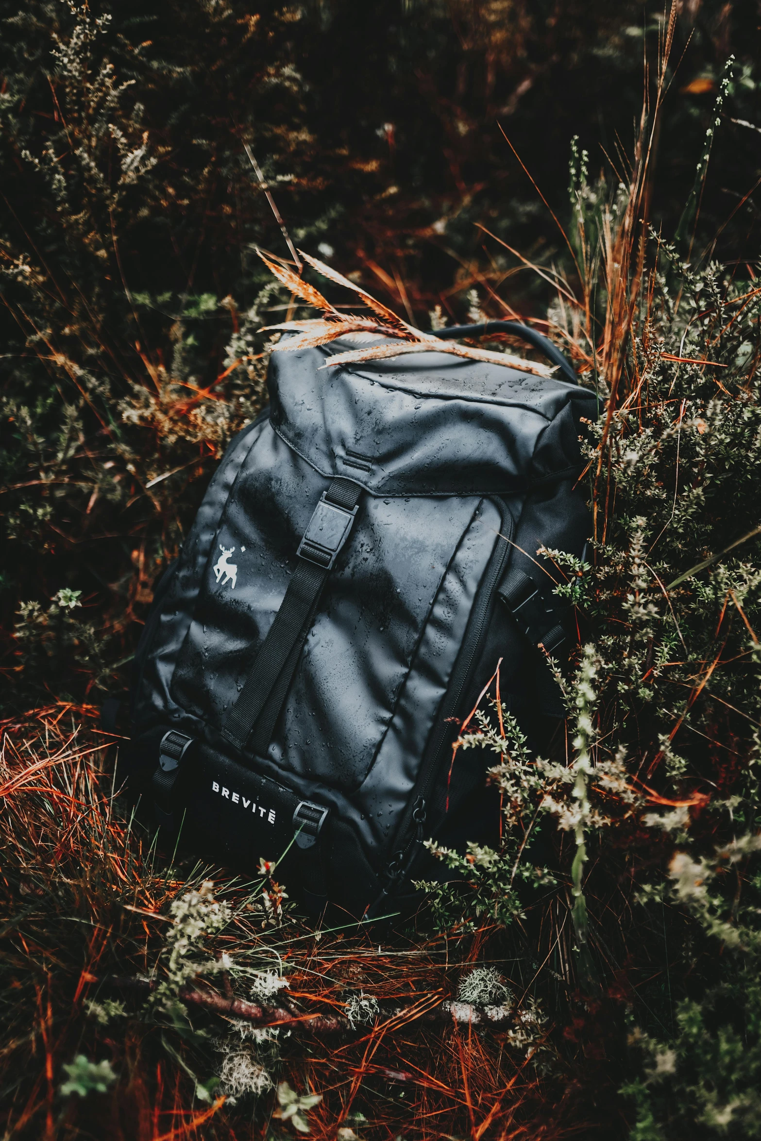 a black backpack sitting in the middle of a forest, unsplash contest winner, renaissance, gnarly details soft light, detailed product shot, myrtle, slate