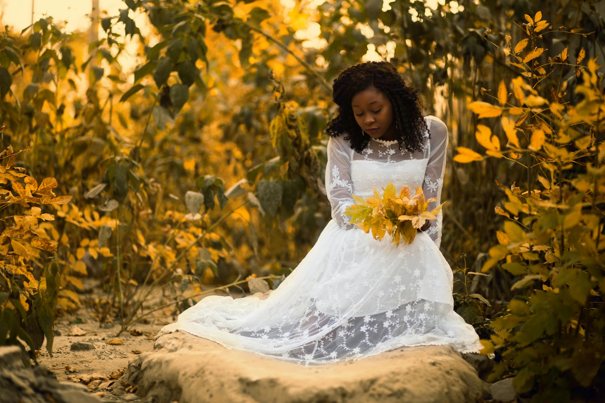 a woman in a white dress sitting on a rock, inspired by Elsa Bleda, pexels contest winner, with yellow flowers around it, african woman, wedding, autumnal