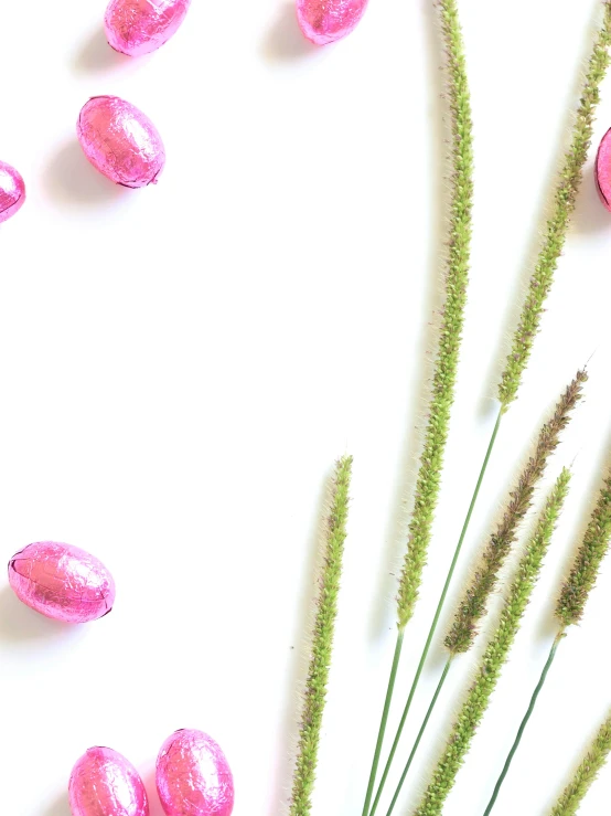 a bunch of pink flowers sitting on top of a white surface, holding easter eggs, orange grass, thumbnail, crisp image