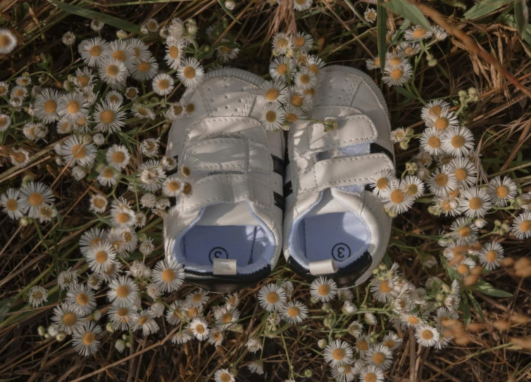 a pair of baby shoes sitting on top of a field of flowers, by Romain brook, pexels contest winner, realism, cool white, sport, panels, a high angle shot