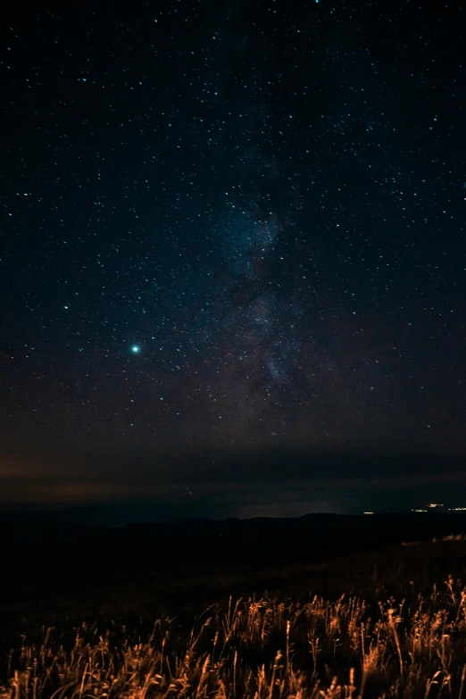 a field full of tall grass under a night sky, a picture, trending on unsplash, light and space, space station planet afar, looking over west virginia, 2 5 6 x 2 5 6 pixels, ocean pattern and night sky