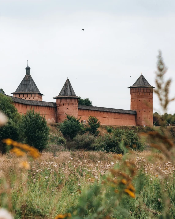 a castle sitting on top of a lush green hillside, by Ilya Ostroukhov, unsplash contest winner, black and terracotta, 000 — википедия, brown, brick walls