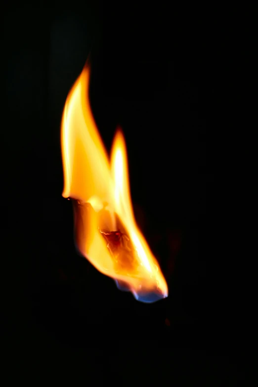 a burning matchstick on a black background, pexels, avatar image, instagram photo, gas lighting, fiery bird