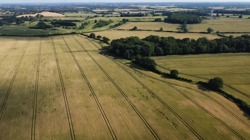 an aerial view of a field of crops, inspired by Patrick Nasmyth, pexels, land art, next to farm fields and trees, hay, longbows, summer light