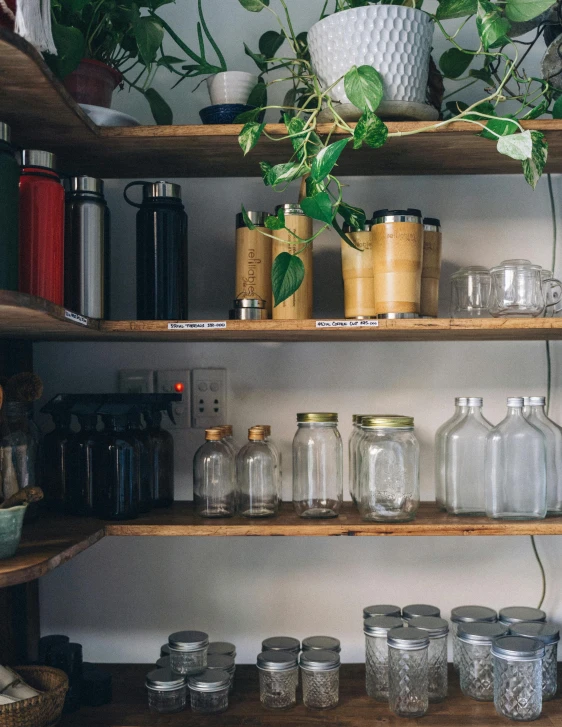 a wooden shelf filled with lots of bottles and jars, unsplash, fridge, filled with plants, 2019 trending photo, portrait photo