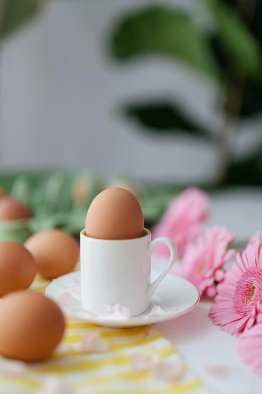 a cup filled with eggs sitting on top of a table, flowers, profile pic, promo image, pink