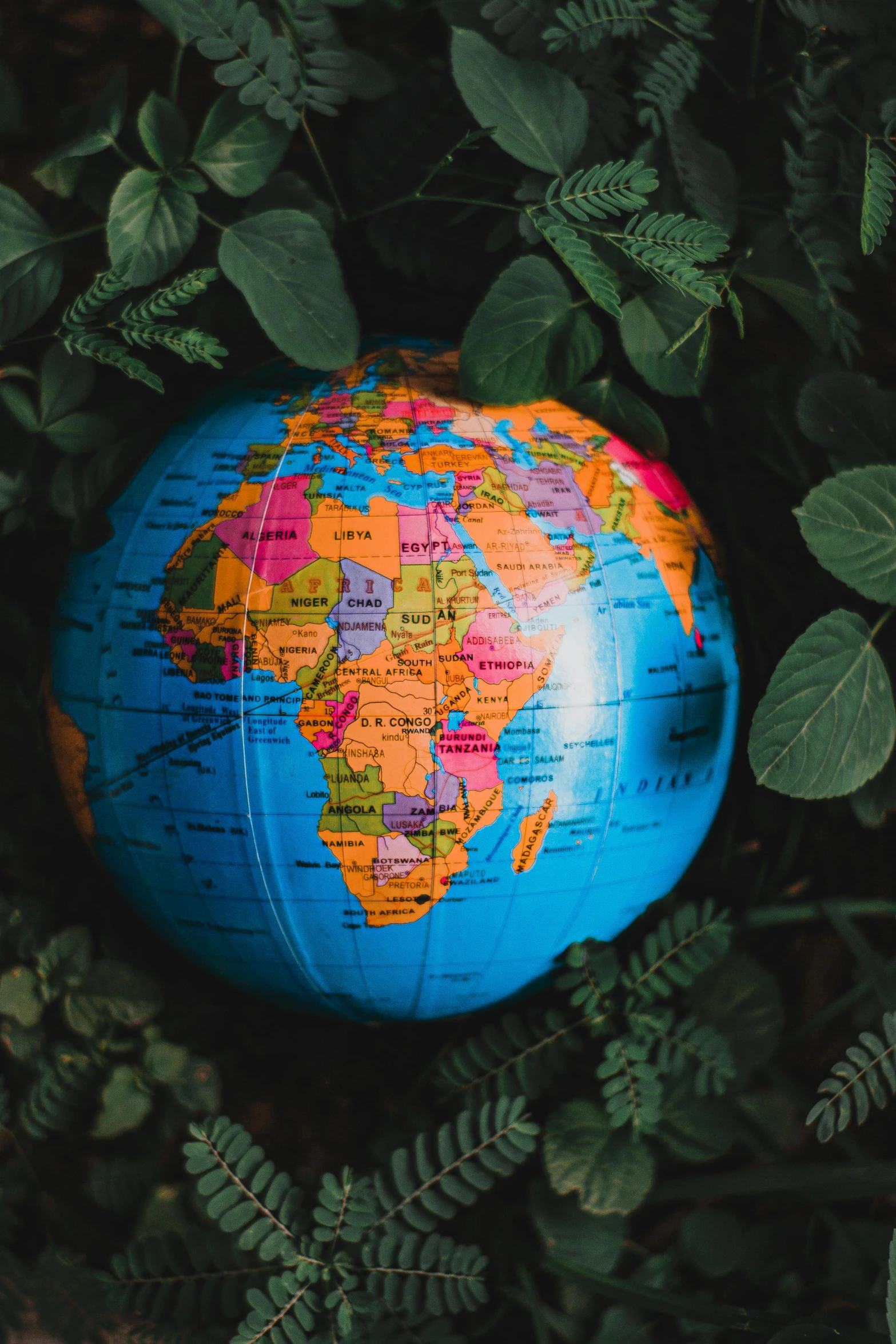 a blue globe sitting on top of a lush green field, multicoloured, africa, map, sustainable materials